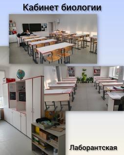 Кабинет биологии и географии
